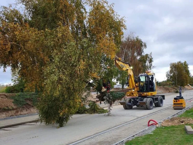 abattage d arbres lancieux