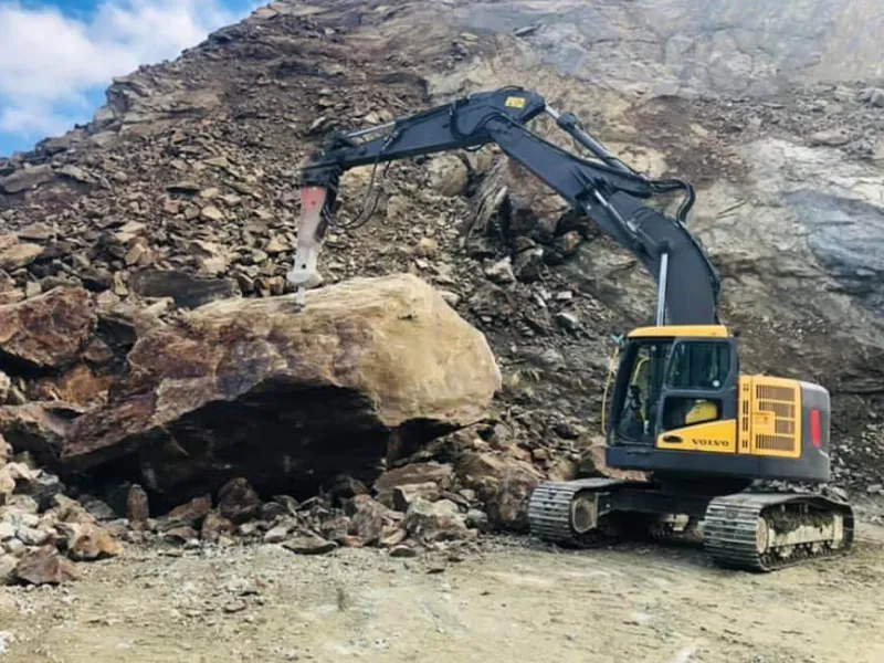 travaux forestiers dinan